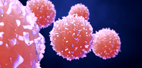 Oncology