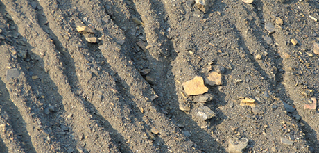 Dirt