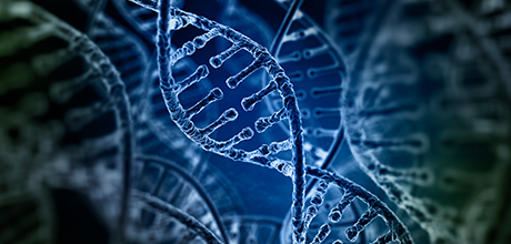 DNA strand