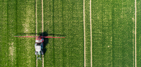 irrigation