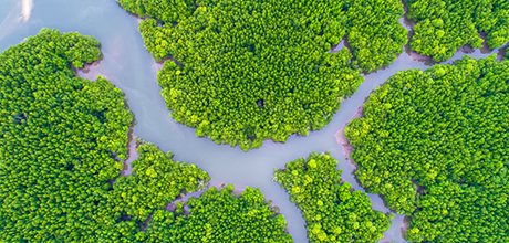 River illustration