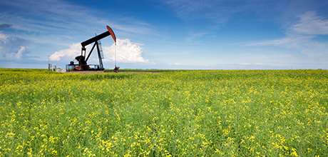 oil and gas land