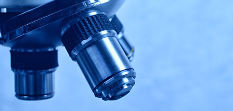 Microscope