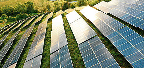 solar farm