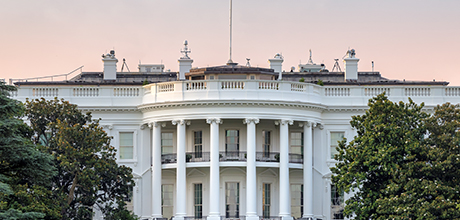white house