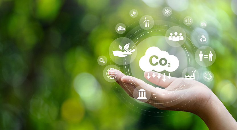 Hand holding environmental images