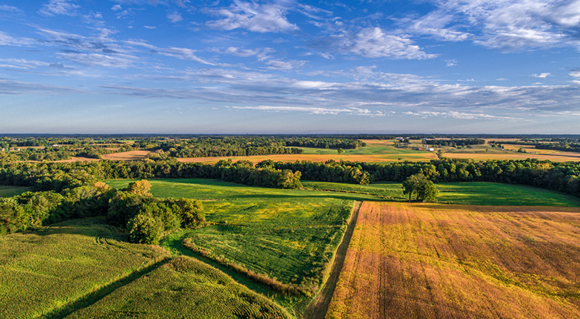 a crop field under a blue sky in Ohio