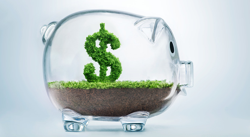 glass piggy bank holding a USD sign made of grass