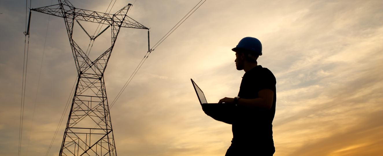 Person standing near power grid